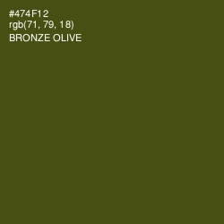 #474F12 - Bronze Olive Color Image